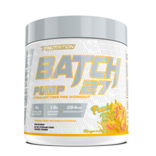 Charger l'image dans la galerie, batch 27 pump