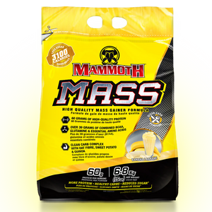gainer mammouth mass 15 lbs
