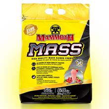 Charger l&#39;image dans la galerie, gainer mammouth mass 15 lbs

