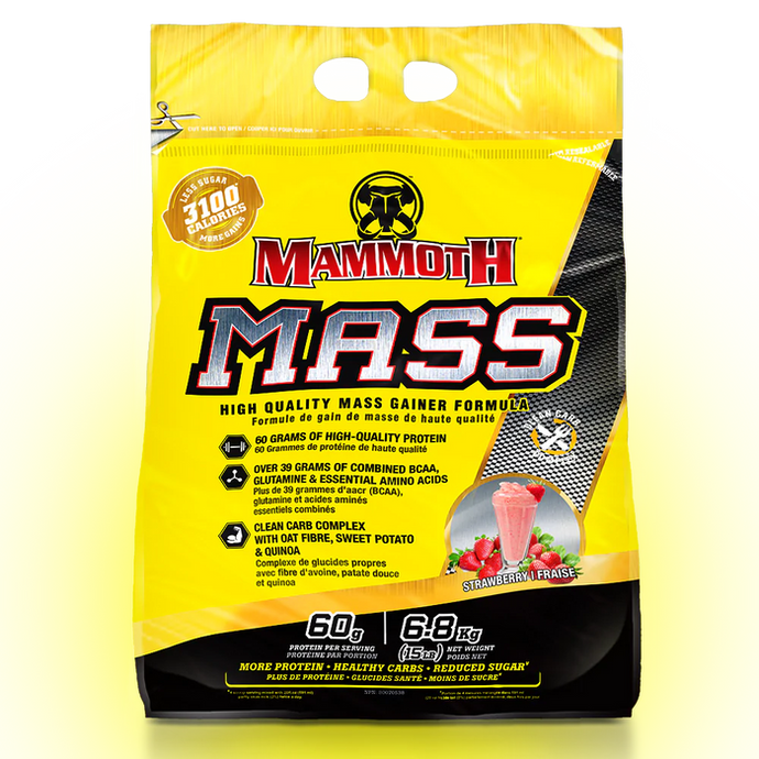 gainer mammouth mass 15 lbs